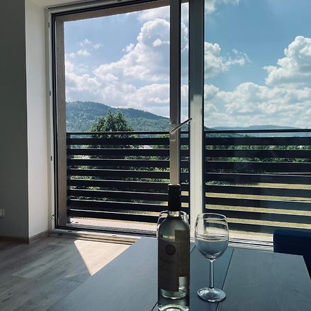 Beskid Rest Apartments Żywiec Extérieur photo
