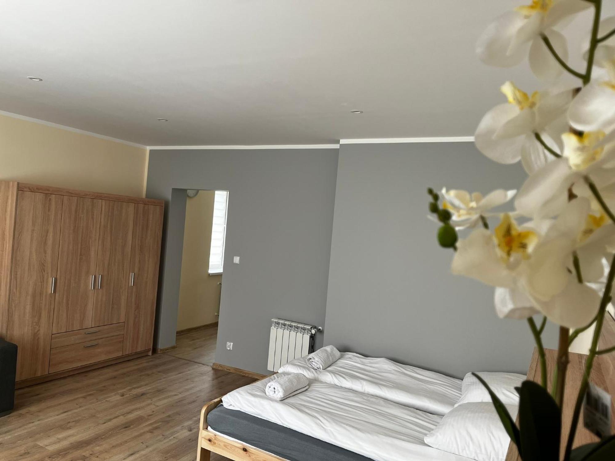 Beskid Rest Apartments Żywiec Extérieur photo