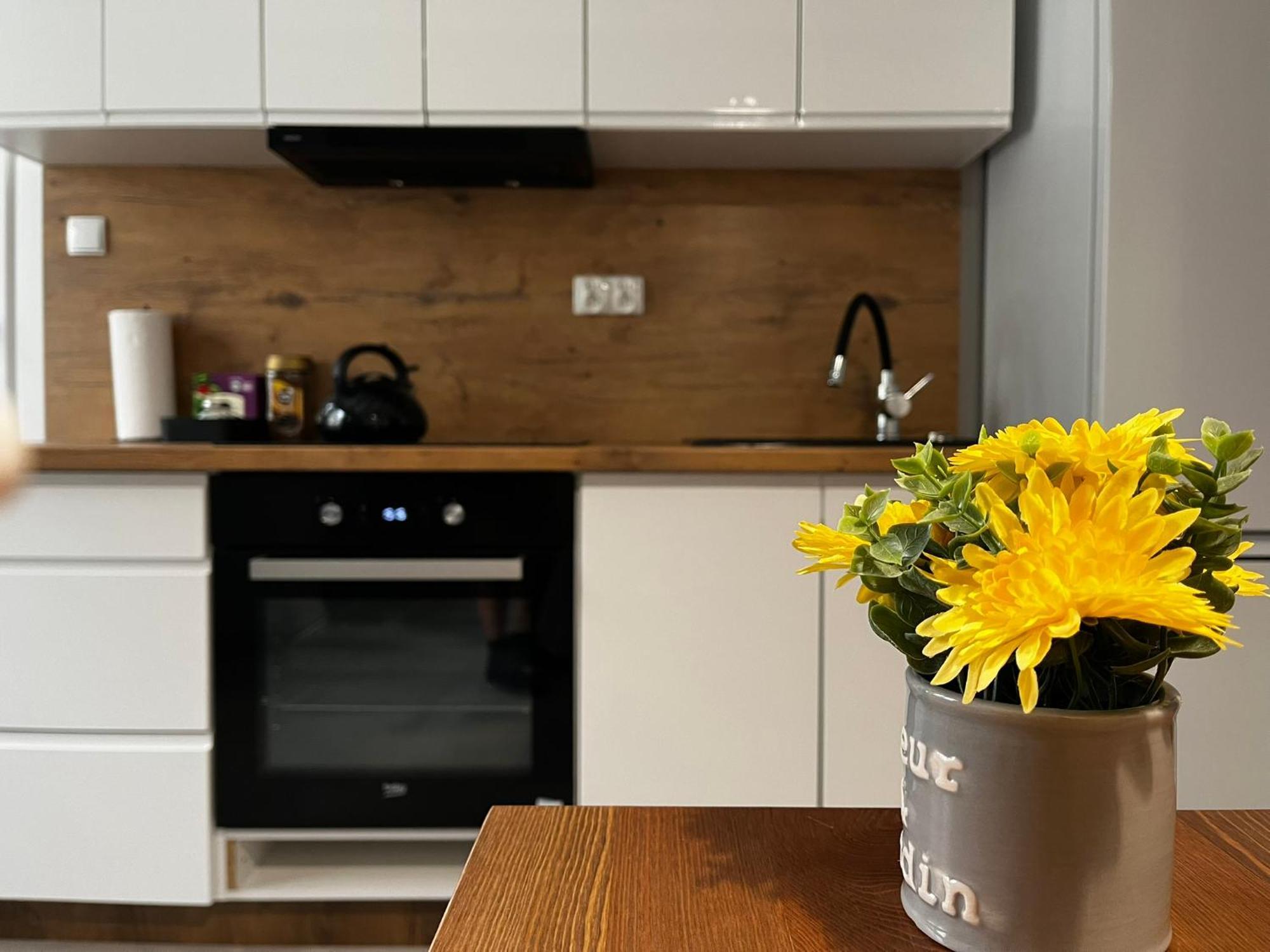Beskid Rest Apartments Żywiec Extérieur photo